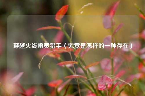 穿越火线幽灵猎手（究竟是怎样的一种存在）