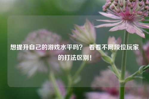 想提升自己的游戏水平吗？  看看不同段位玩家的打法区别！