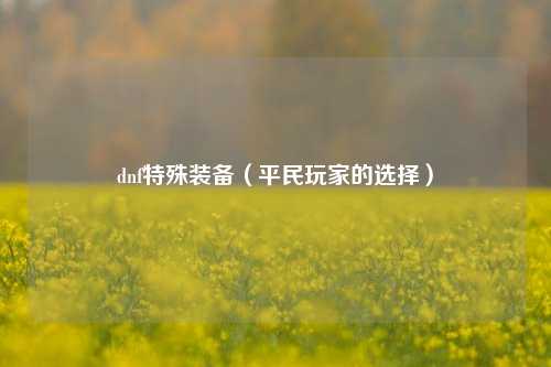dnf特殊装备（平民玩家的选择）