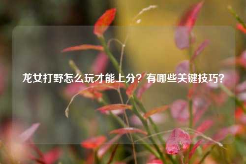 龙女打野怎么玩才能上分？有哪些关键技巧？