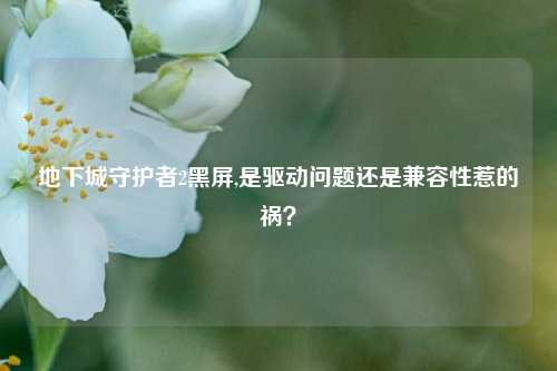 地下城守护者2黑屏,是驱动问题还是兼容性惹的祸？