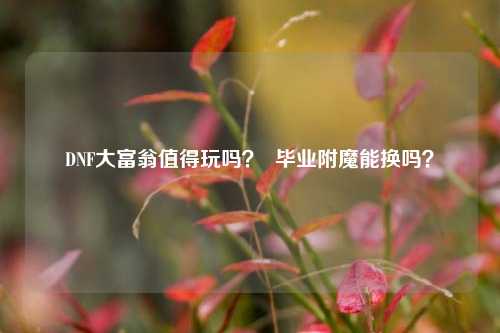 DNF大富翁值得玩吗？  毕业附魔能换吗？
