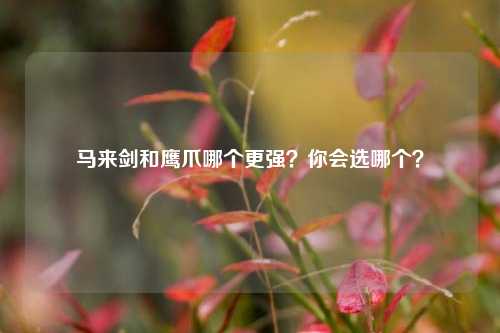马来剑和鹰爪哪个更强？你会选哪个？